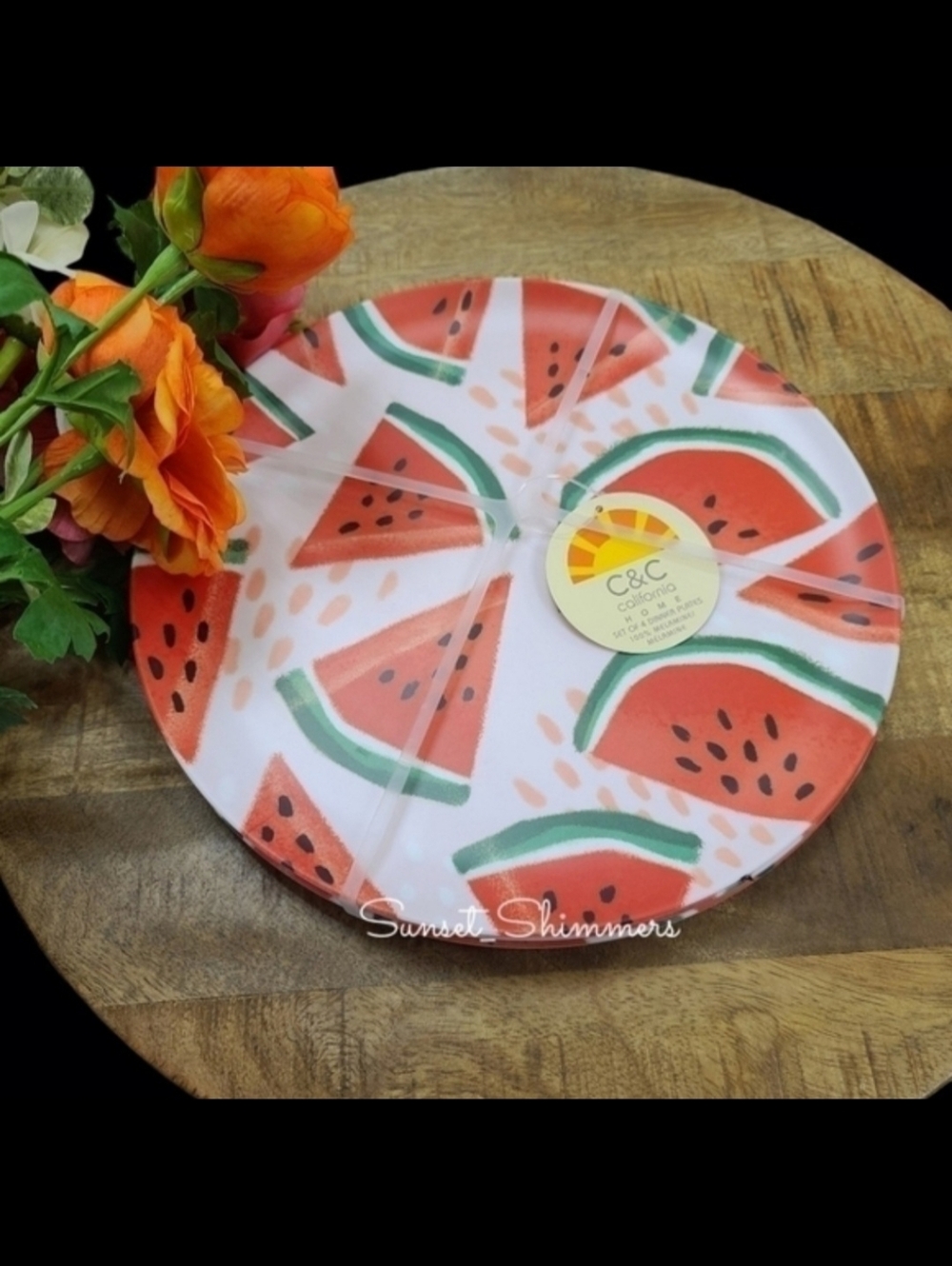 4PC set Watermelon C&C California Home Melamine 11" Dinner Plates New